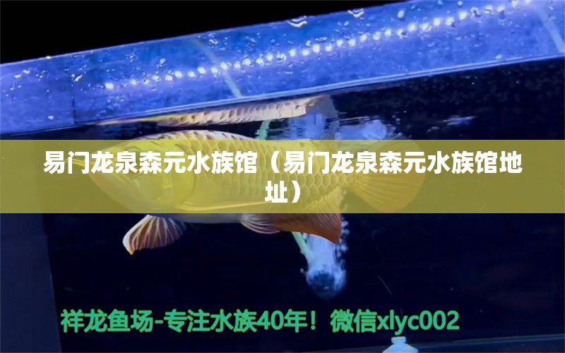 易门龙泉森元水族馆（易门龙泉森元水族馆地址） 全国水族馆企业名录