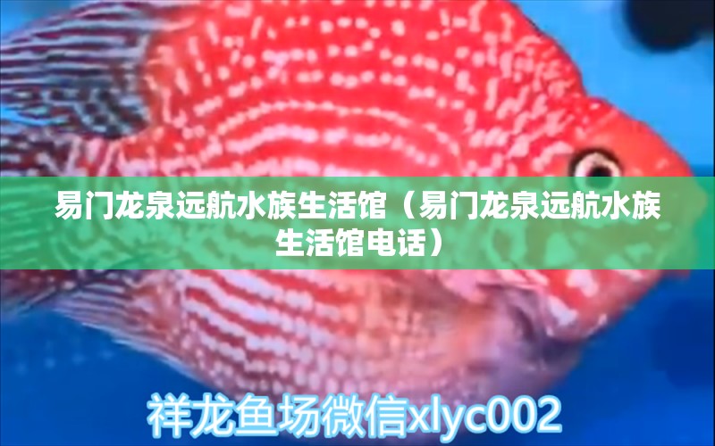 易门龙泉远航水族生活馆（易门龙泉远航水族生活馆电话）