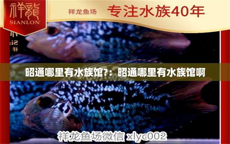 昭通哪里有水族馆?：昭通哪里有水族馆啊