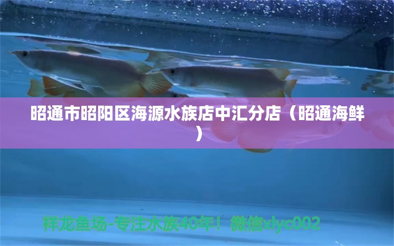 昭通市昭阳区海源水族店中汇分店（昭通海鲜）