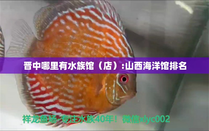 晋中哪里有水族馆（店）:山西海洋馆排名