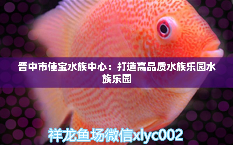 晋中市佳宝水族中心：打造高品质水族乐园水族乐园 全国水族馆企业名录 第1张