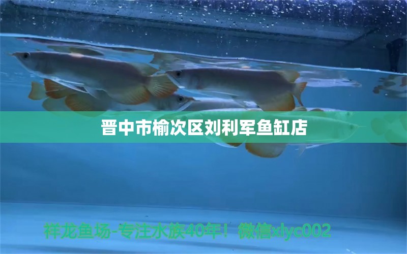 晋中市榆次区刘利军鱼缸店 全国水族馆企业名录