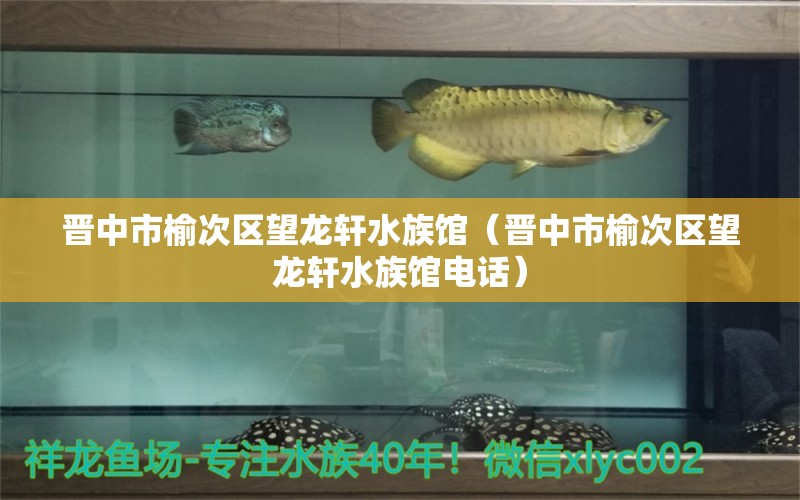 晋中市榆次区望龙轩水族馆（晋中市榆次区望龙轩水族馆电话）