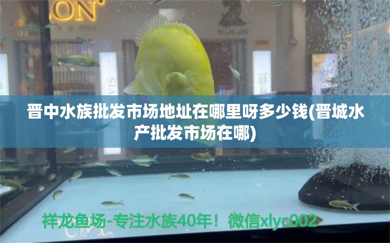 晋中水族批发市场地址在哪里呀多少钱(晋城水产批发市场在哪) 观赏鱼水族批发市场