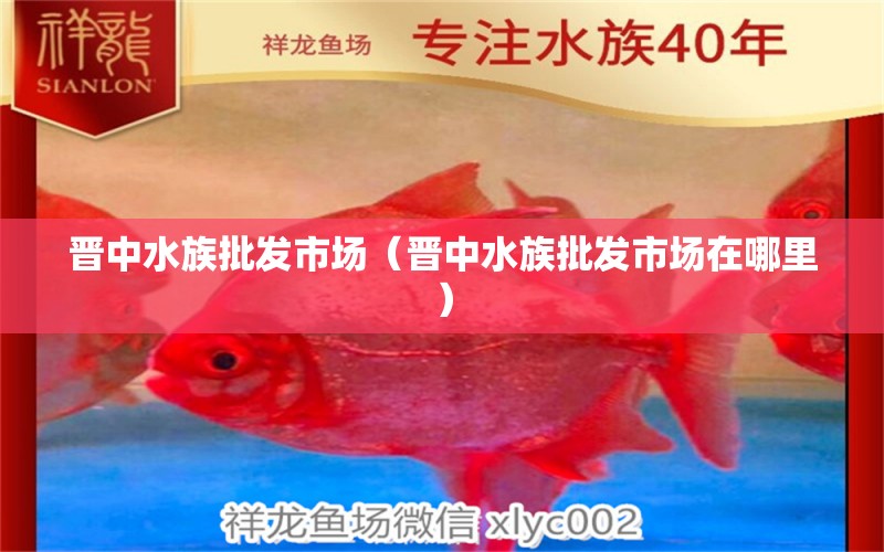 晋中水族批发市场（晋中水族批发市场在哪里）