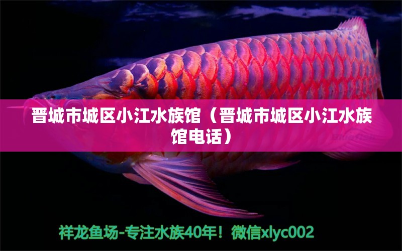 晋城市城区小江水族馆（晋城市城区小江水族馆电话）