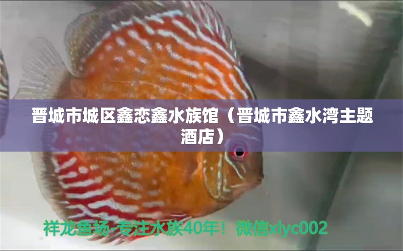 晋城市城区鑫恋鑫水族馆（晋城市鑫水湾主题酒店）