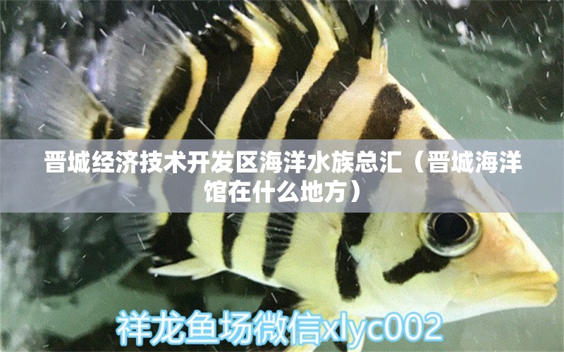 晋城经济技术开发区海洋水族总汇（晋城海洋馆在什么地方） 全国水族馆企业名录