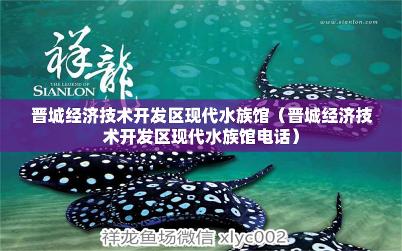 晋城经济技术开发区现代水族馆（晋城经济技术开发区现代水族馆电话）