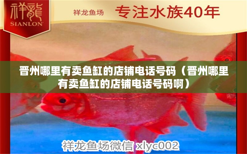 晋州哪里有卖鱼缸的店铺电话号码（晋州哪里有卖鱼缸的店铺电话号码啊） 祥龙水族医院