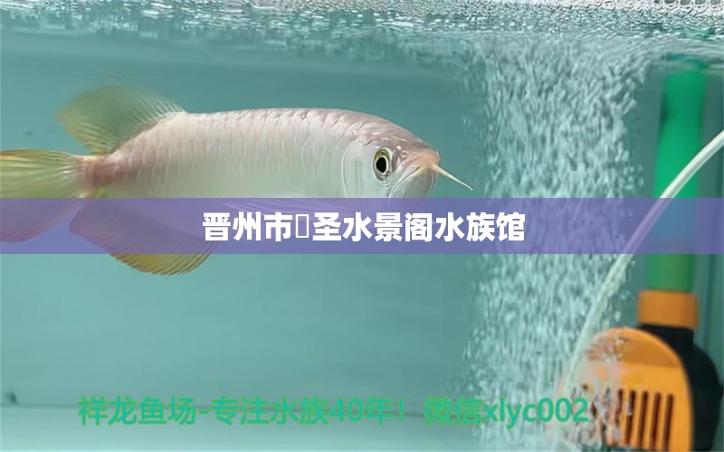 晋州市燊圣水景阁水族馆 全国水族馆企业名录