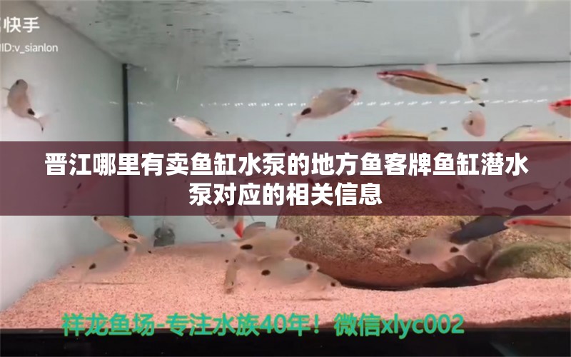 晋江哪里有卖鱼缸水泵的地方鱼客牌鱼缸潜水泵对应的相关信息 鱼缸水泵