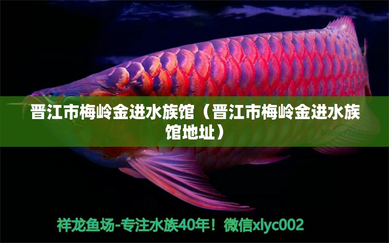 晋江市梅岭金进水族馆（晋江市梅岭金进水族馆地址） 全国水族馆企业名录