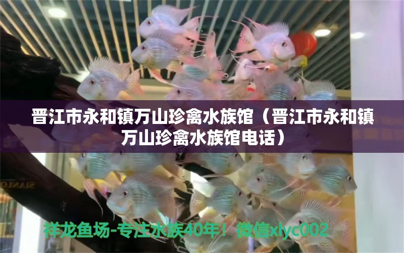 晋江市永和镇万山珍禽水族馆（晋江市永和镇万山珍禽水族馆电话） 全国水族馆企业名录