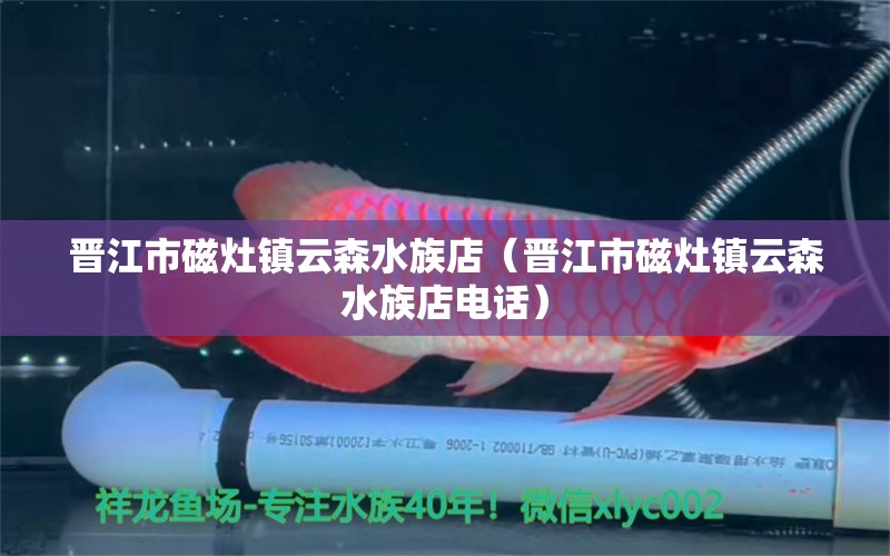 晋江市磁灶镇云森水族店（晋江市磁灶镇云森水族店电话）