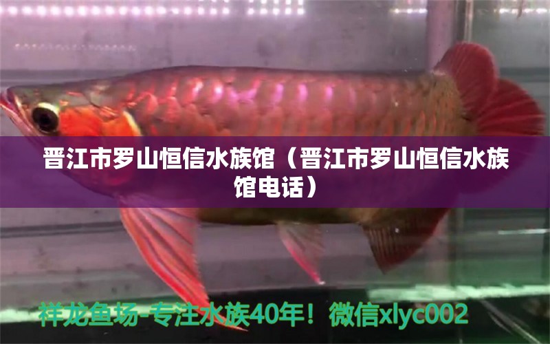 晋江市罗山恒信水族馆（晋江市罗山恒信水族馆电话） 全国水族馆企业名录