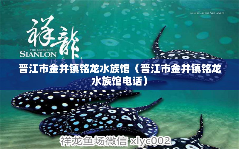 晋江市金井镇铭龙水族馆（晋江市金井镇铭龙水族馆电话） 全国水族馆企业名录