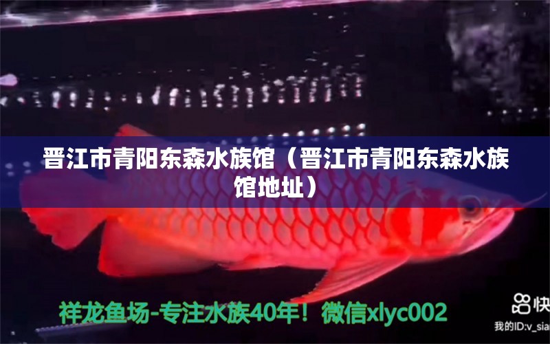 晋江市青阳东森水族馆（晋江市青阳东森水族馆地址） 全国水族馆企业名录