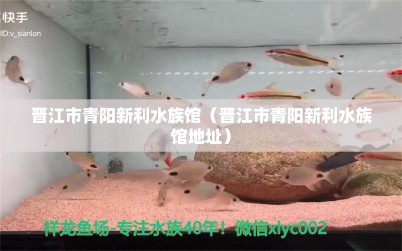 晋江市青阳新利水族馆（晋江市青阳新利水族馆地址）