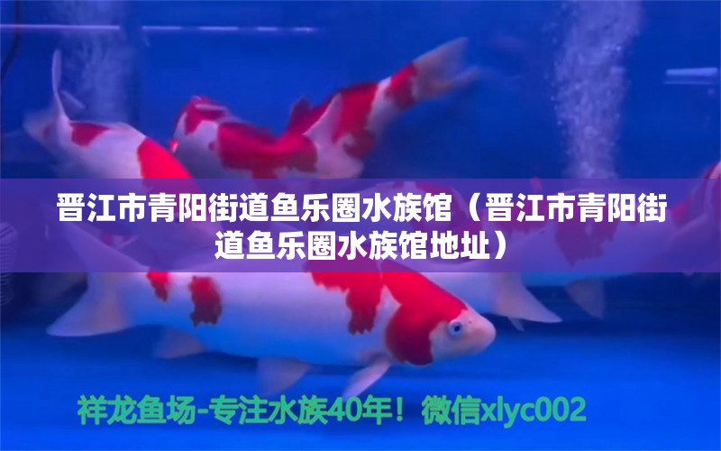 晋江市青阳街道鱼乐圈水族馆（晋江市青阳街道鱼乐圈水族馆地址）