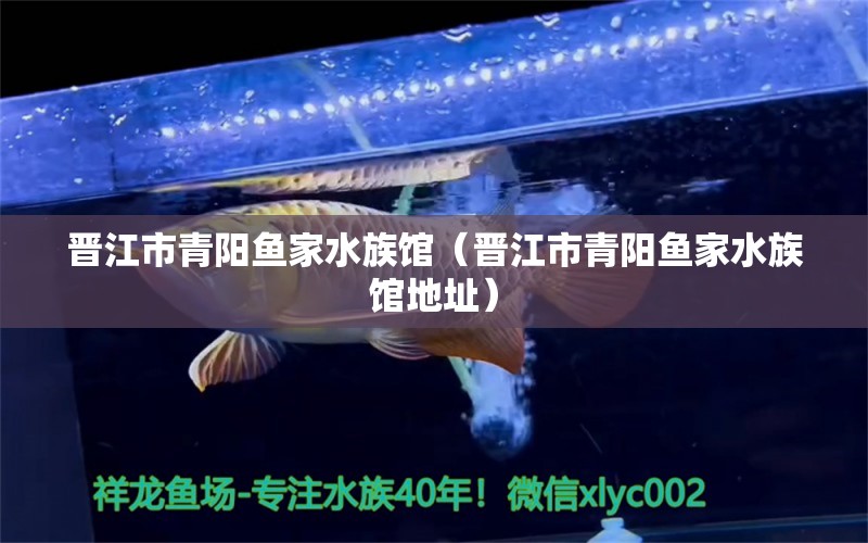 晋江市青阳鱼家水族馆（晋江市青阳鱼家水族馆地址） 全国水族馆企业名录