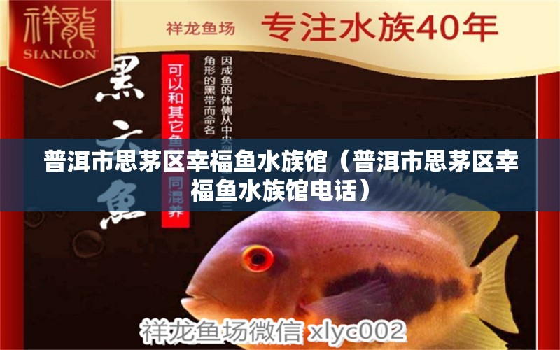 普洱市思茅区幸福鱼水族馆（普洱市思茅区幸福鱼水族馆电话） 全国水族馆企业名录