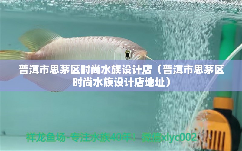 普洱市思茅区时尚水族设计店（普洱市思茅区时尚水族设计店地址）