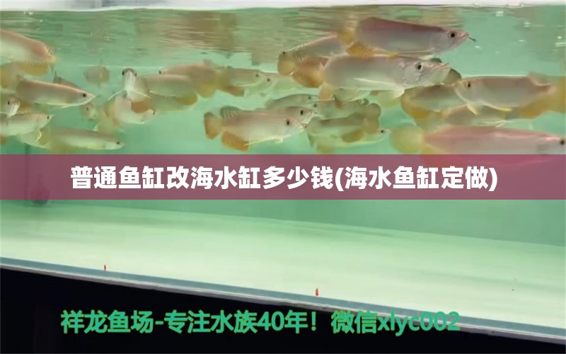 普通鱼缸改海水缸多少钱(海水鱼缸定做)