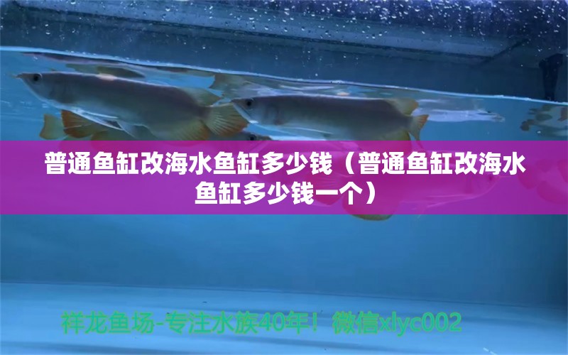 普通鱼缸改海水鱼缸多少钱（普通鱼缸改海水鱼缸多少钱一个）