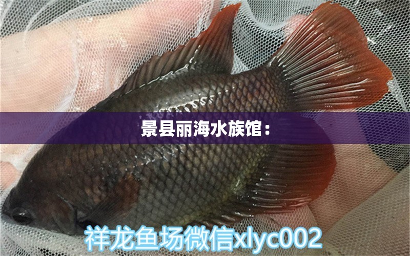 景县丽海水族馆：