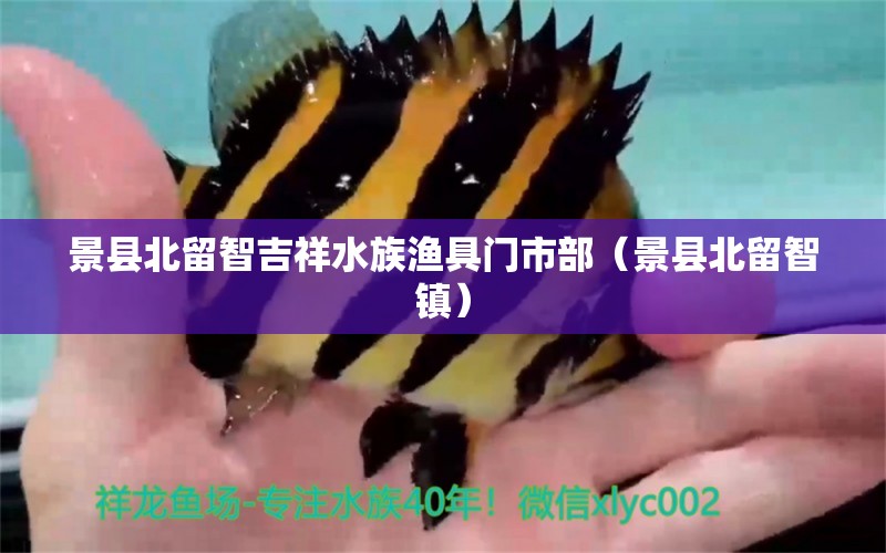 景县北留智吉祥水族渔具门市部（景县北留智镇） 全国水族馆企业名录