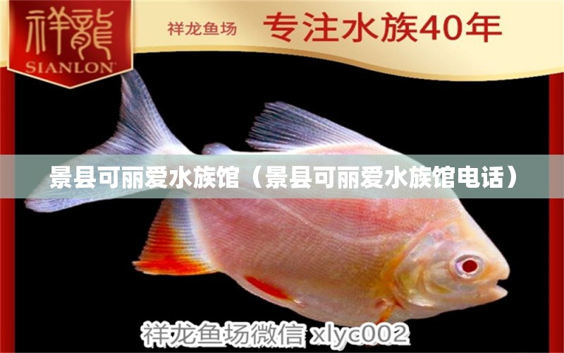 景县可丽爱水族馆（景县可丽爱水族馆电话） 全国水族馆企业名录