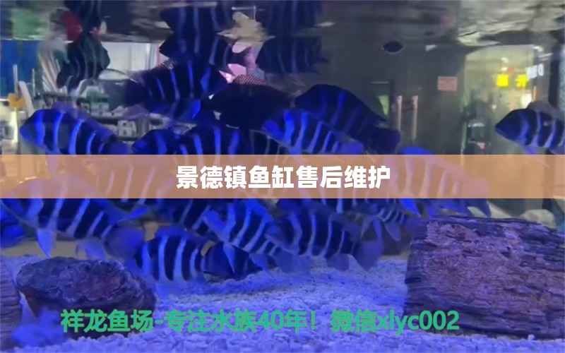 景德镇鱼缸售后维护