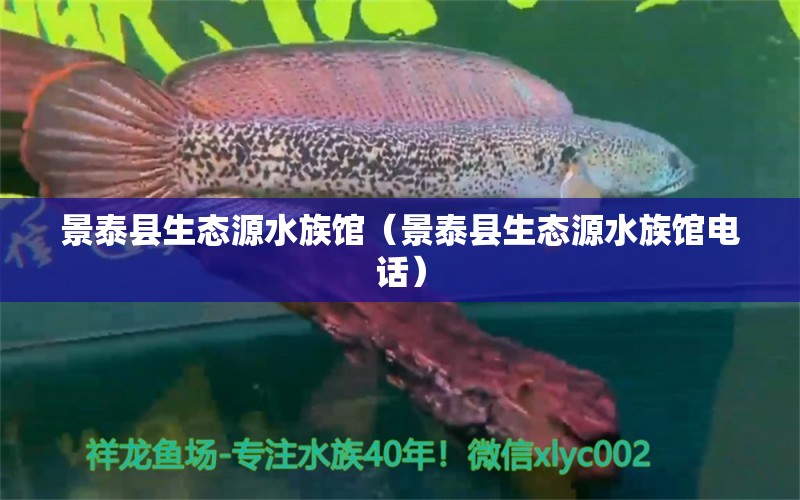 景泰县生态源水族馆（景泰县生态源水族馆电话） 全国水族馆企业名录