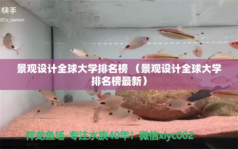 景观设计全球大学排名榜 （景观设计全球大学排名榜最新）