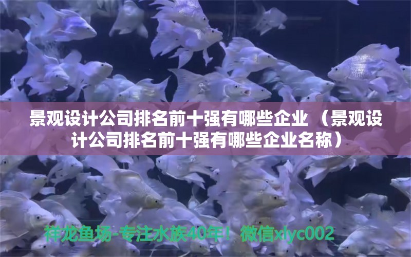 景观设计公司排名前十强有哪些企业 （景观设计公司排名前十强有哪些企业名称）