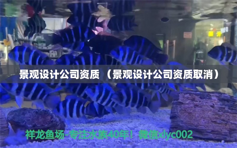 景观设计公司资质 （景观设计公司资质取消）