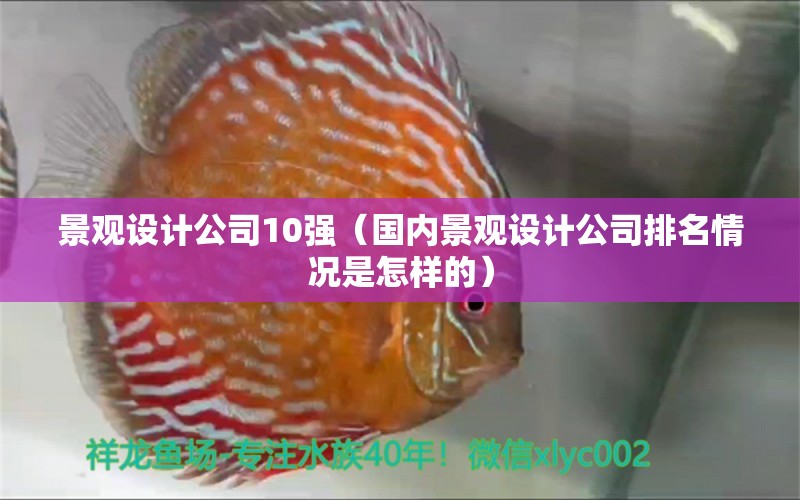 景观设计公司10强（国内景观设计公司排名情况是怎样的） 广州景观设计 第1张