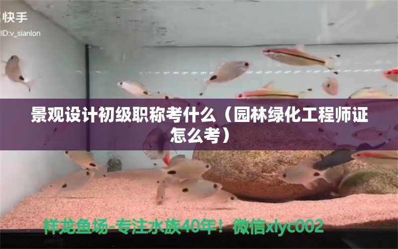 景观设计初级职称考什么（园林绿化工程师证怎么考） 广州景观设计 第1张