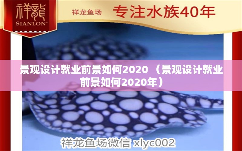 景观设计就业前景如何2020 （景观设计就业前景如何2020年）