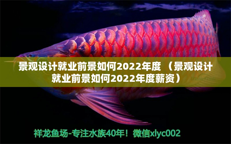 景观设计就业前景如何2022年度 （景观设计就业前景如何2022年度薪资）