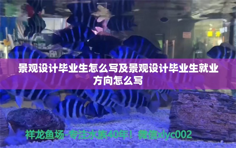 景观设计毕业生怎么写及景观设计毕业生就业方向怎么写