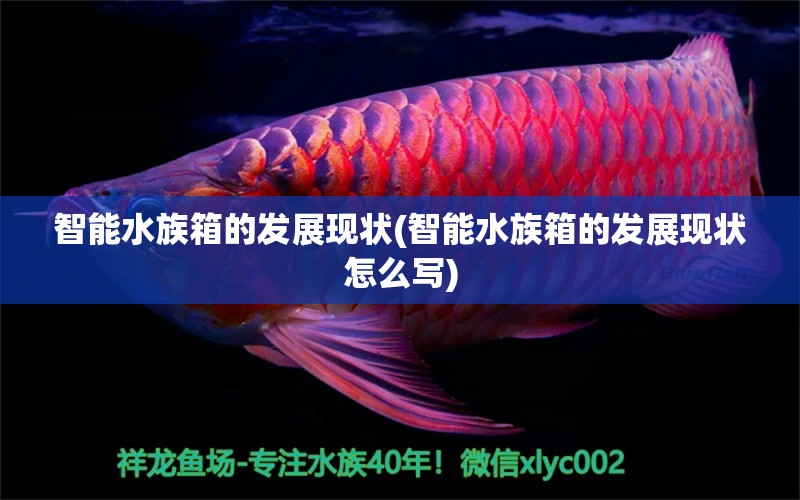 智能水族箱的发展现状(智能水族箱的发展现状怎么写) 鱼缸/水族箱