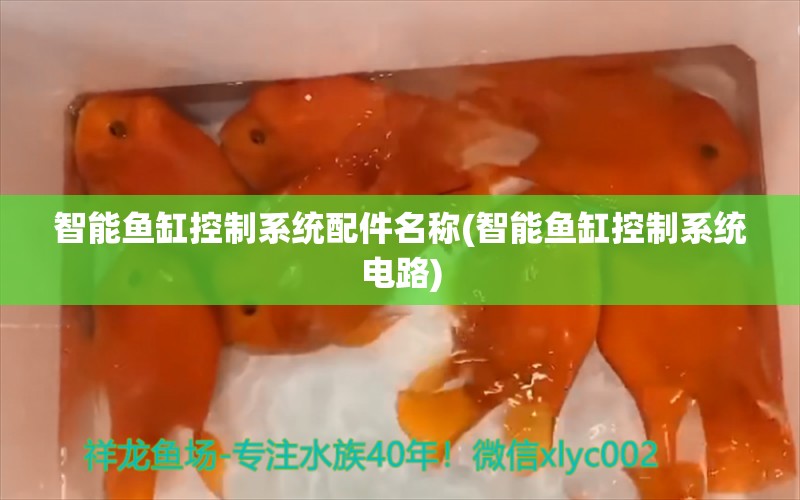 智能鱼缸控制系统配件名称(智能鱼缸控制系统电路)