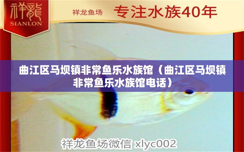 曲江区马坝镇非常鱼乐水族馆（曲江区马坝镇非常鱼乐水族馆电话） 全国水族馆企业名录