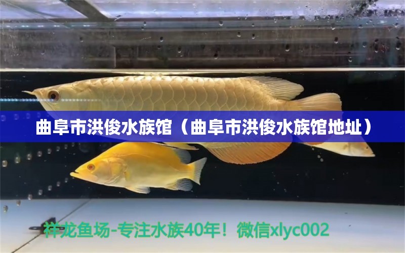 曲阜市洪俊水族馆（曲阜市洪俊水族馆地址） 全国水族馆企业名录