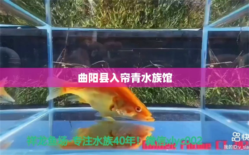 曲阳县入帘青水族馆