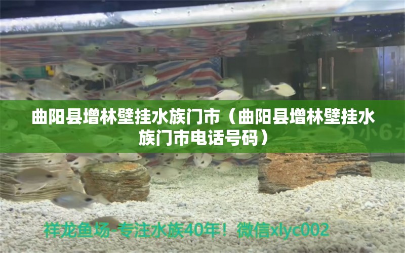 曲阳县增林壁挂水族门市（曲阳县增林壁挂水族门市电话号码）