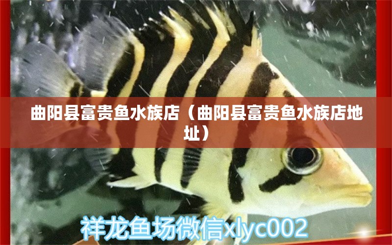 曲阳县富贵鱼水族店（曲阳县富贵鱼水族店地址） 全国水族馆企业名录